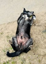 IMG_9333.jpeg