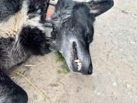 IMG_9334.jpeg