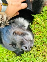 IMG_9329.jpeg