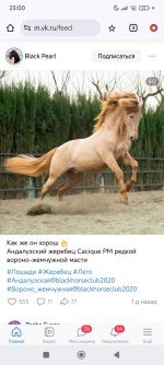 Screenshot_2026-07-02-23-00-10-833_com.android.chrome.jpg