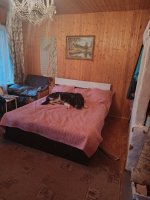 IMG_20260712_195707.jpg