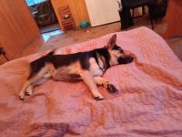 IMG_20260712_201720_965.jpg