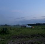IMG_9349.jpeg