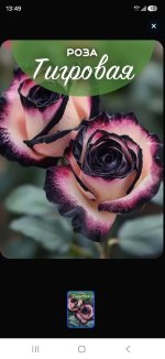 br0ZfULOXHXdHKPdCtK3Pg_EDrBEGP883e8hWTp4hepm3p5Ri_29SBCJjlErYnM3hBF53ENzzkqfuKRdcnxRf52J.jpg