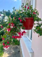 IMG_0985.jpeg