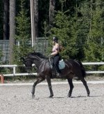 IMG_6474.jpeg