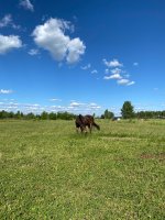 IMG_4757.jpeg
