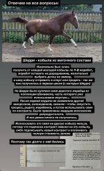 IMG_9571.jpeg