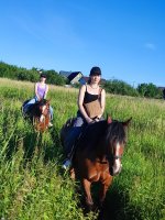 IMG_20260717_191353.jpg