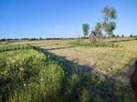IMG_20260717_195557.jpg