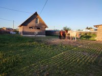 IMG_20260717_205808.jpg