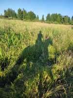 IMG_20260718_202317.jpg