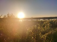 IMG_20260718_210054.jpg