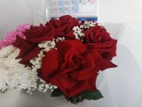 IMG_20260719_152937_983.jpg