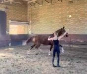 IMG_9614.jpeg