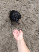 IMG_20260720_190347.jpg