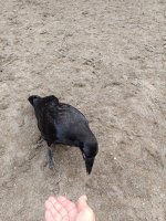 IMG_20260720_190335.jpg
