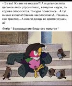 1000224139.jpg