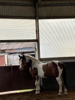 IMG_5724.jpeg