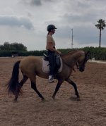 IMG_4336.jpeg