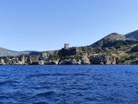 IMG_20260706_175208.jpg