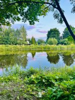 IMG_9432.jpeg