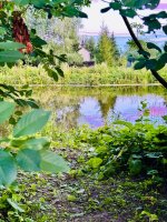 IMG_9431.jpeg