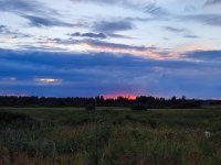IMG_20260722_212929.jpg