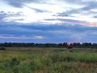IMG_20260722_213121.jpg