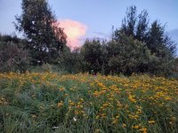 IMG_20260722_213832.jpg