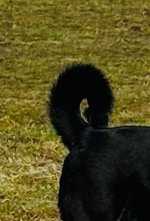 IMG_9439.jpeg