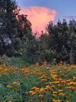 IMG_20260722_213842.jpg