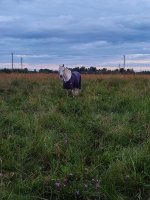 IMG_20260722_214120.jpg