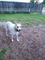 IMG_20260722_215501.jpg