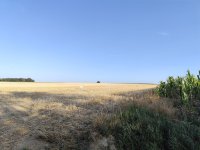 IMG_20260720_075541.jpg