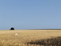 IMG_20260720_075546.jpg