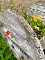 IMG_1438.jpeg