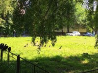 IMG_20260724_171530_791.jpg
