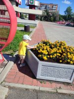 IMG_20260725_101610.jpg