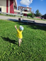 IMG_20260725_102229.jpg