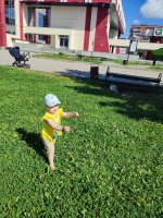 IMG_20260725_102233.jpg