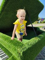 IMG_20260725_102806.jpg