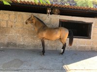 IMG_0844.jpeg