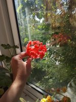IMG_20260720_113601.jpg