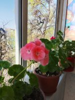 IMG_20260505_085833.jpg