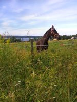 IMG_20260726_093358_100.jpg