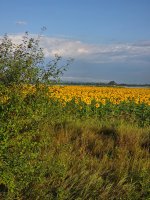 20260726_064115.jpg