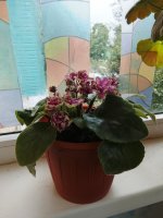 IMG_20260726_095652.jpg