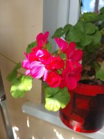IMG_20260727_135112.jpg