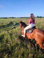 IMG_20260725_201026.jpg